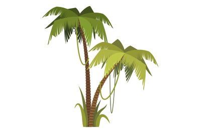 Exotic tropical beach greenery. Cartoon palm tree