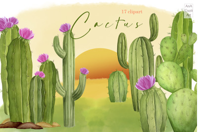 Watercolor cactus, succulent clipart
