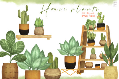 Home plants, pots, flower pot clipart