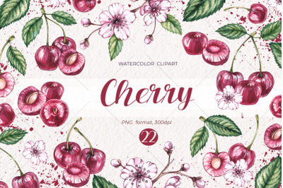 Watercolor Cherry / Watercolor clipart PNG