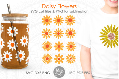 Daisy SVG, Daisy PNG, flower SVG, daisy flower svg