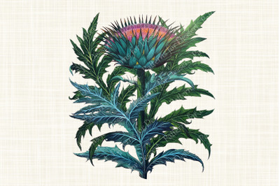 Watercolor Artichoke Thistle Plant