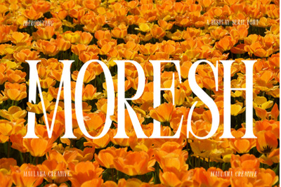 Moresh Serif Display Font
