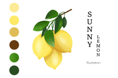 Lemon branch Illustration