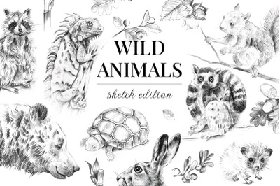Wild animals. Sketch edition. 22 PNG pics