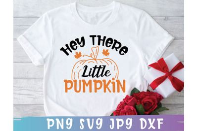 Hey There Little Pumpkin SVG, Fall SVG