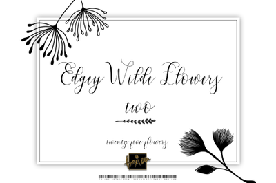 Edgey Wilde Flowers 002.000 - Decorative Elements TRiiBU.Art