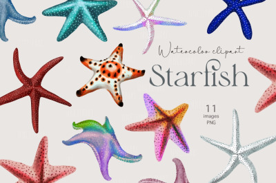 Starfish clipart, Sea Star, watercolor nautical illustration