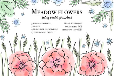 Meadow flowers set of vector graphics, AI, EPS10, JPEG