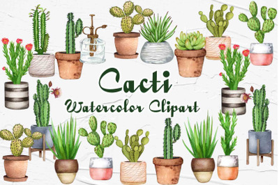 Cactus Watercolor Clipart. Succulent