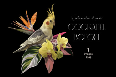 Corella cockatoo Parrot, Watercolor bouquet clipart