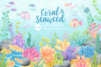 Coral and Seaweed Watercolor Clipart, Underwater Scene PNG