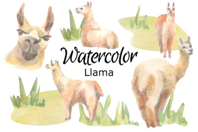 Deer watercolor clipart