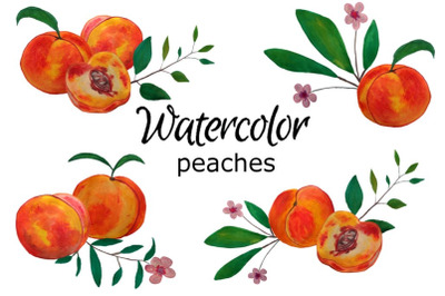 Peach watercolor clipart