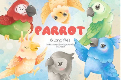 Parrot Clipart - PNG Files