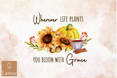 Fall Flower Life Plants You Bloom Grace