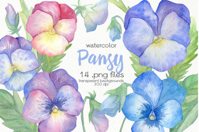 Watercolor Pansy Clipart - PNG Files