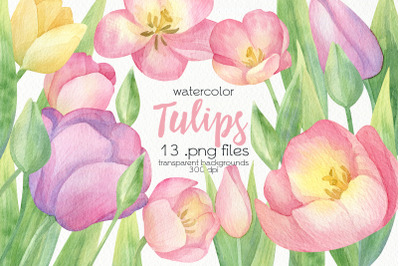 Watercolor Tulip Clipart - PNG Files