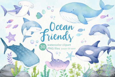 Whales and Sharks Watercolor Clipart, Cute Ocean Animals PNG