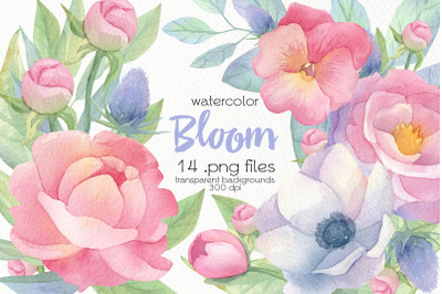 Watercolor Spring Flowers Clipart - PNG Files