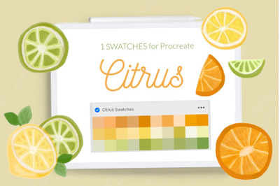 Citrus Procreate swatches. Lemon, lime, orange color palette for Procr