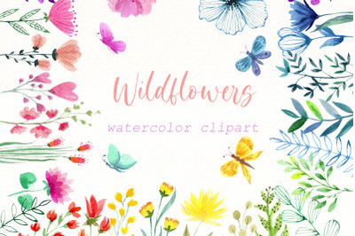 Watercolor Wildflower Clipart | Hand Painted Summer flowers.