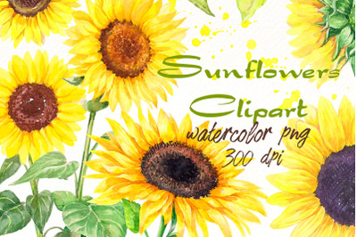 Watercolor Sunflower clipart | Summer Floral Png elements