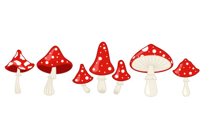 Amanita mushroom. Fly agaric, white spotted red mushrooms and forest t