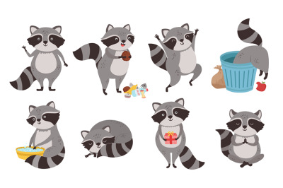 Raccoon character. Funny coon in trash, wild raccoons in different pos