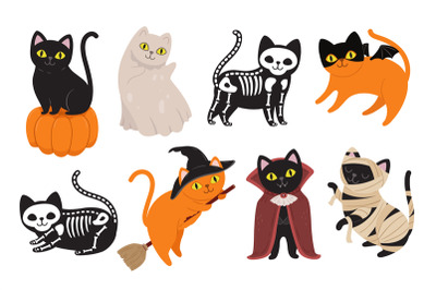 Halloween cats. Black kitten in Dracula vampire costume, mummy animal