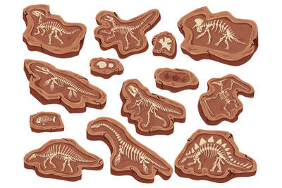 Cartoon fossils. Dinosaurs fossilization, ancient fish bones and ammon