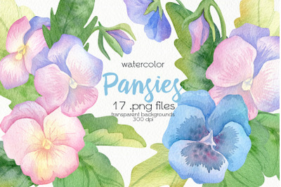 Watercolor Pansy Clipart - PNG Files