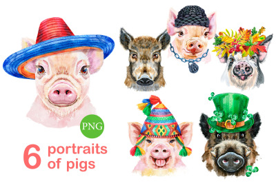 Cute watercolor pigs. Part 15