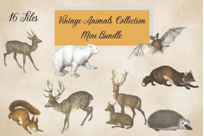 Vintage Forest Animals