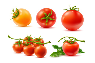 Realistic tomatoes. 3d vegetables, whole fruits on twigs, green leaves