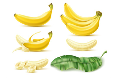 Realistic banana. Tropical dessert fruit, whole, cut and peeled, green