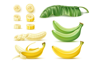 Banana fruits. Yellow and green dessert tropical fruits and palm leaf,