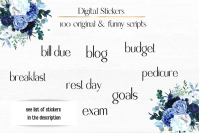 Digital Stickers for Planner/100 Files