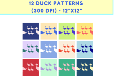 12 Duck Patterns - JPG (300 DPI)