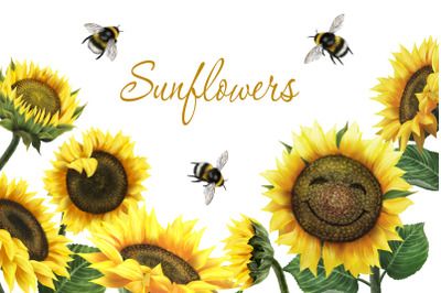 Sunflowers with bumblebees digital clipart. Summer flower clipart.
