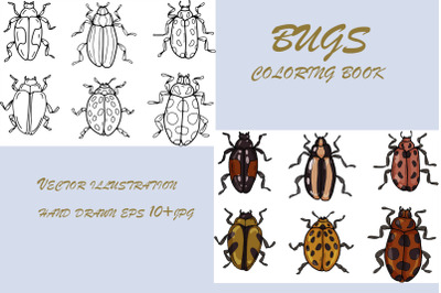 bugs coloring book