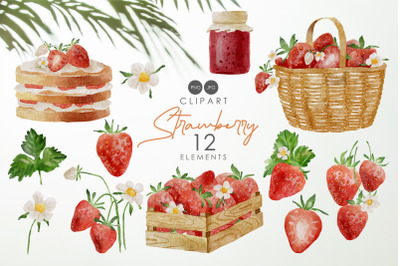 Watercolor strawberry clipart, Fruits elements, Strawberry clipart