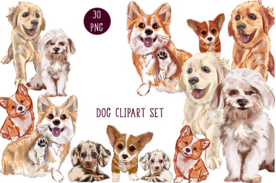 Dog Clipart Set - Dogs Clipart - PNG Maltese Grooming, Corgi, Dachshun