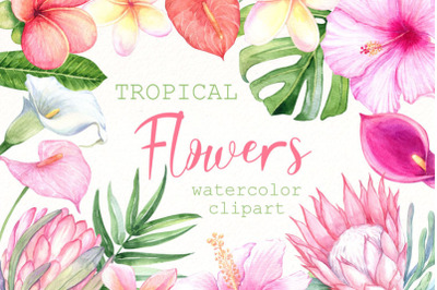 Watercolor Tropical Flowers Clipart , Exotic Floral PNG