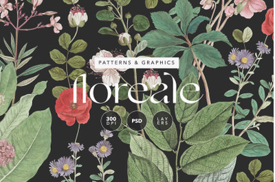 Botanical Elegant English Floral Pattern / PSD / Fully Editable