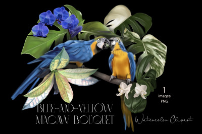 Blue-and-yellow macaw, Watercolor birds clipart, sublimation Bouquet