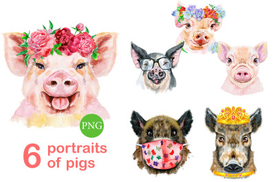 Cute watercolor pigs. Part 16