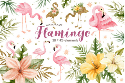 Watercolor flamingo collection