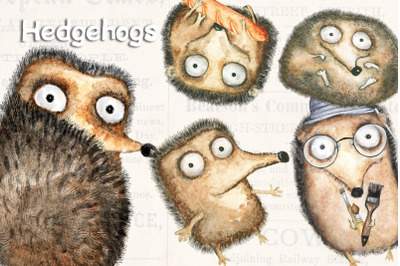Funny Watercolor Hedgehogs