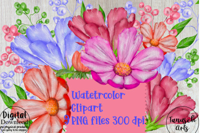 Watercolor meadow Flowers Clipart